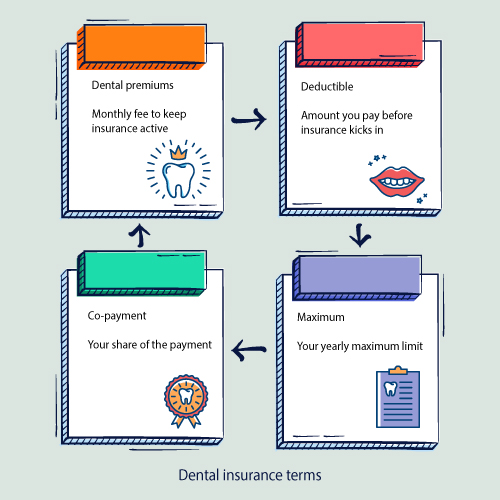 dental insurance